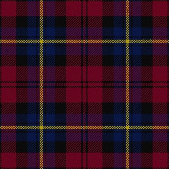 Aitken Modern Tartan swatch