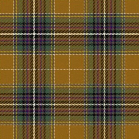 Arctic Tundra Tartan swatch