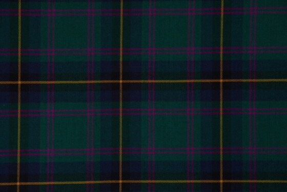 Carrick District Hunting Modern Tartan swatch