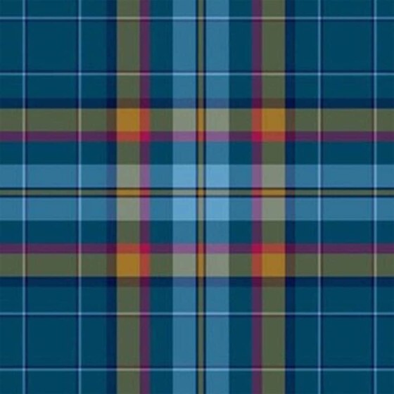 Carroll Tartan swatch