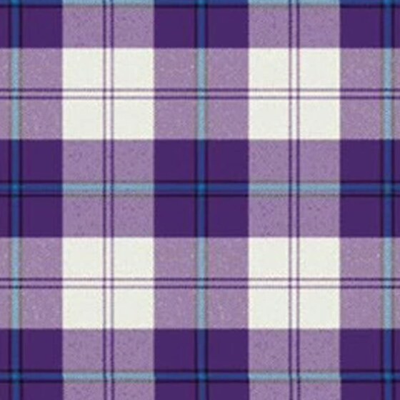 Cunningham Dress Purple Tartan swatch
