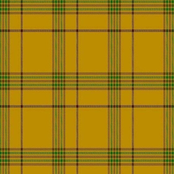Houston Scottish Tartan swatch