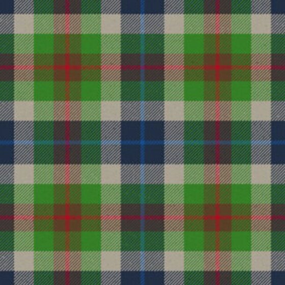 Loch Fyne Tartan swatch