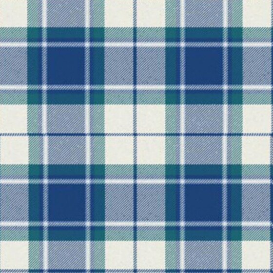 Longniddry Eildon Blue Tartan swatch