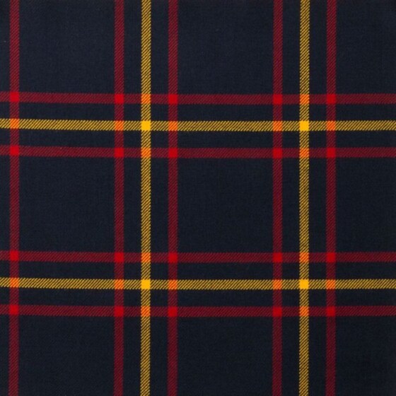 MacLaine of Lochbuie Hunting Modern Tartan swatch