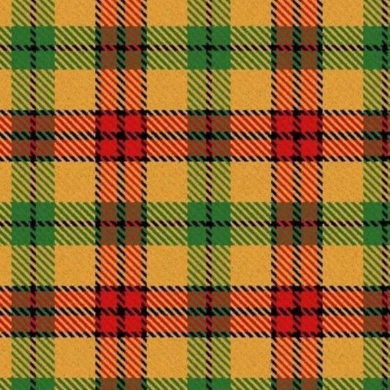 McDuck Tartan swatch