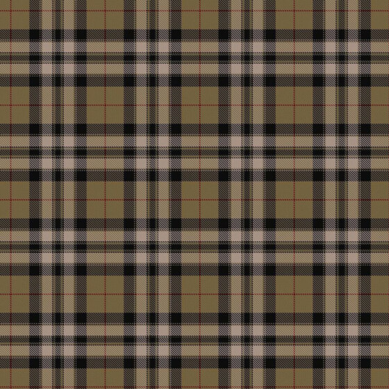 Pride Of Scotland Gold Tartan swatch
