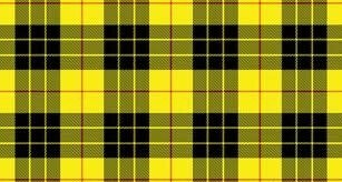 MacLeod Of Lewis Tartan swatch